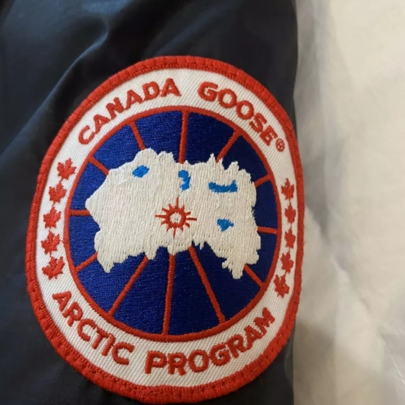 Canada goose - Picture 5 of 8